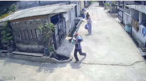 Monyet Ganas Buron, Warga Panik Berhamburan Selamatkan Korban Luka