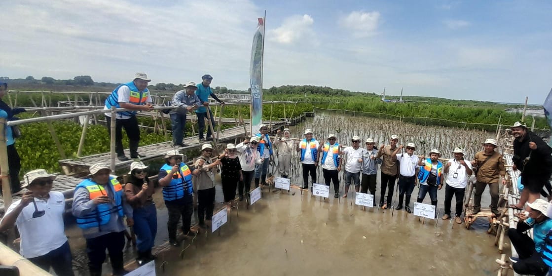 ASLIK3 dan Komunitas Cipta Pesona Desa Kolaborasi Penanaman 2500 Bibit Mangrove di Pesisir Pantai Muara Baru