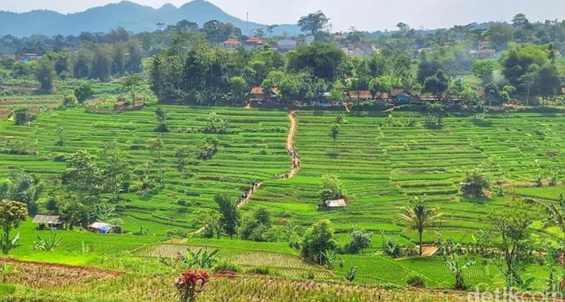 Program Desa Wisata di Jawa Barat Terus Digenjot