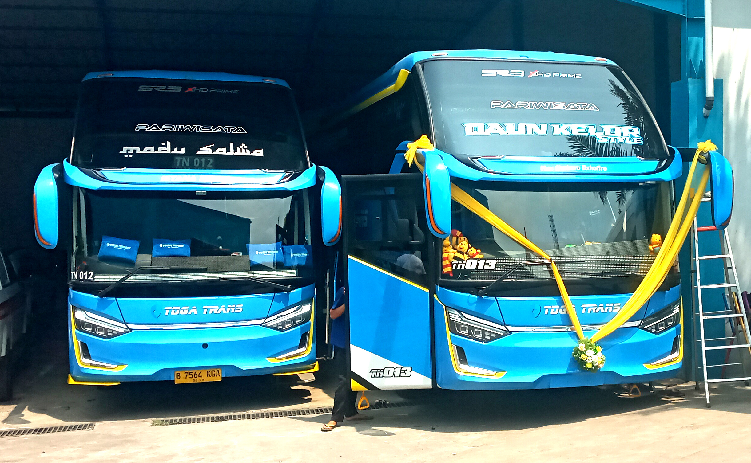 PERTAMA DI BEKASI... Toga Trans Launching 2 Big Bus Spesial Daun Kelor,  Siap Manjakan Perjalanan Anda 