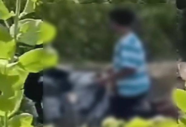 Heboh! Beredar Video Mesum Sepasang Remaja di Kotim di Semak, Diduga Sekitar Pantai Ujung Pandaran