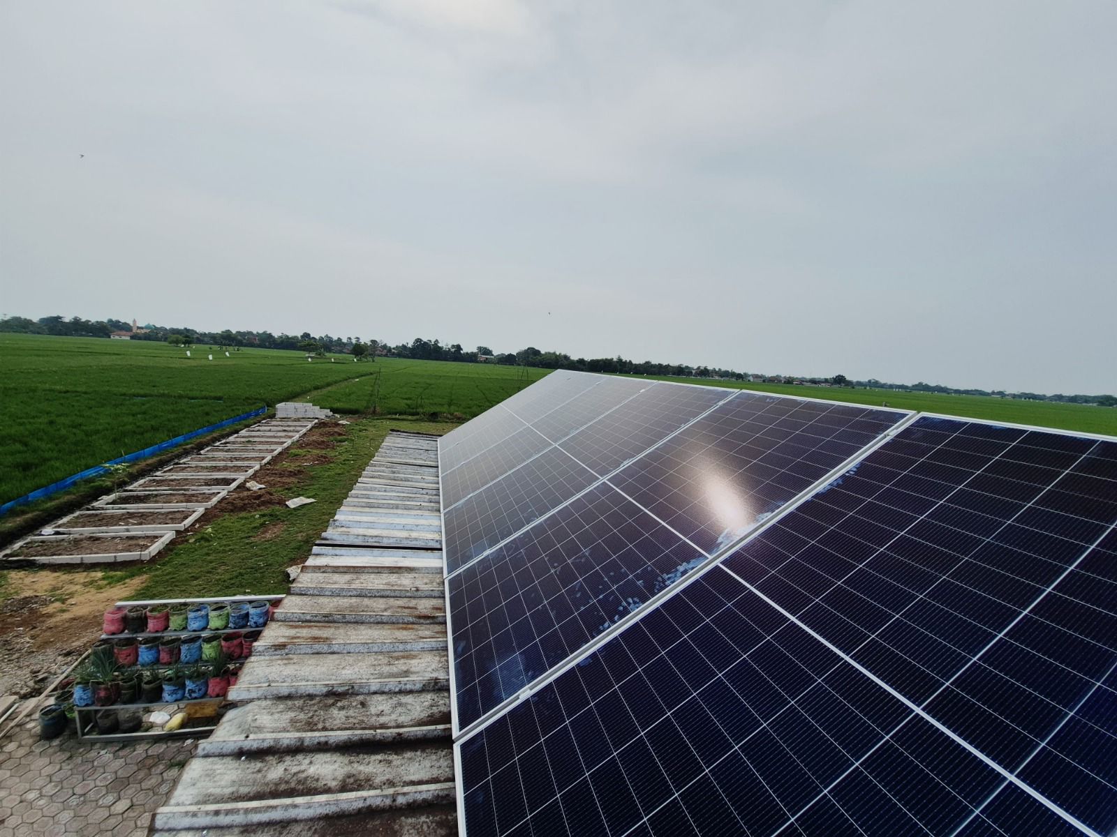 Pertamina Perkuat Program DEB Lewat Edukasi di Karawang