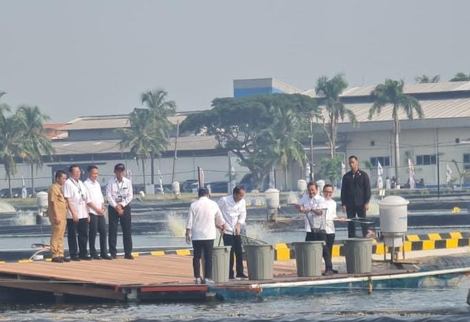 Jokowi Resmikan Modeling Kawasan Budidaya Ikan Nila Salin di Karawang