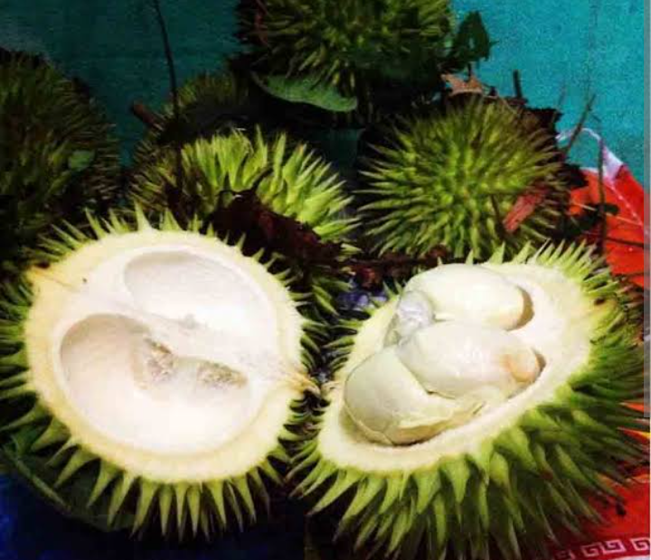 Langkah Banget! Durian Daun Uniknya Bukan Main