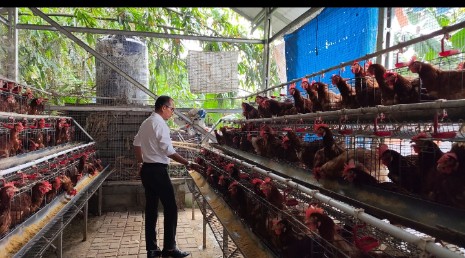 Program Ketapang Desa Serang Penuhi Kebutuhan Masyarakat 