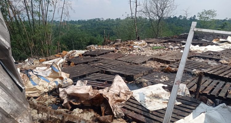 Hutan Karawang Dijadikan Tempat Pembuangan Limbah, Begini Penampakannya....