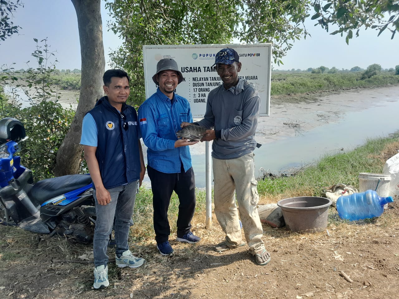 Panen Perdana Tambak Tanjung Jaya: Wujud Peningkatan Kesejahteraan Masyarakat Desa Muara