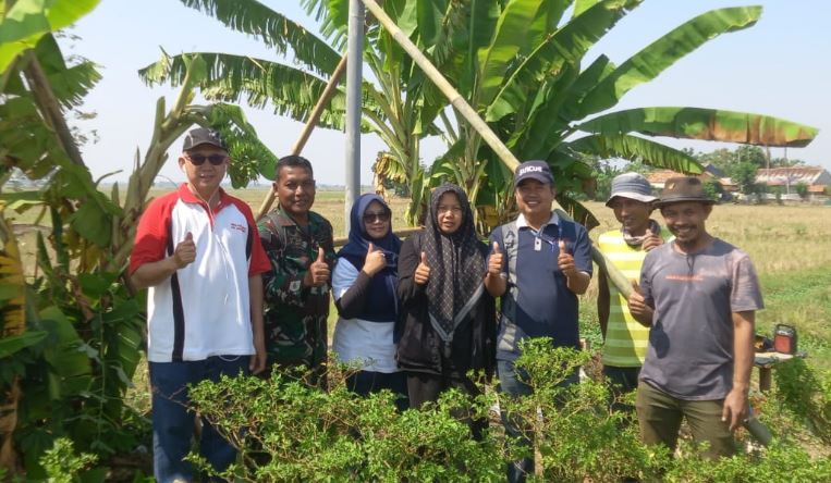 Sering Rusak Tanaman Para Petani, DPKP Karawang Bangun Puluhan Rumah Burung Hantu untuk Atasi Hama Tikus