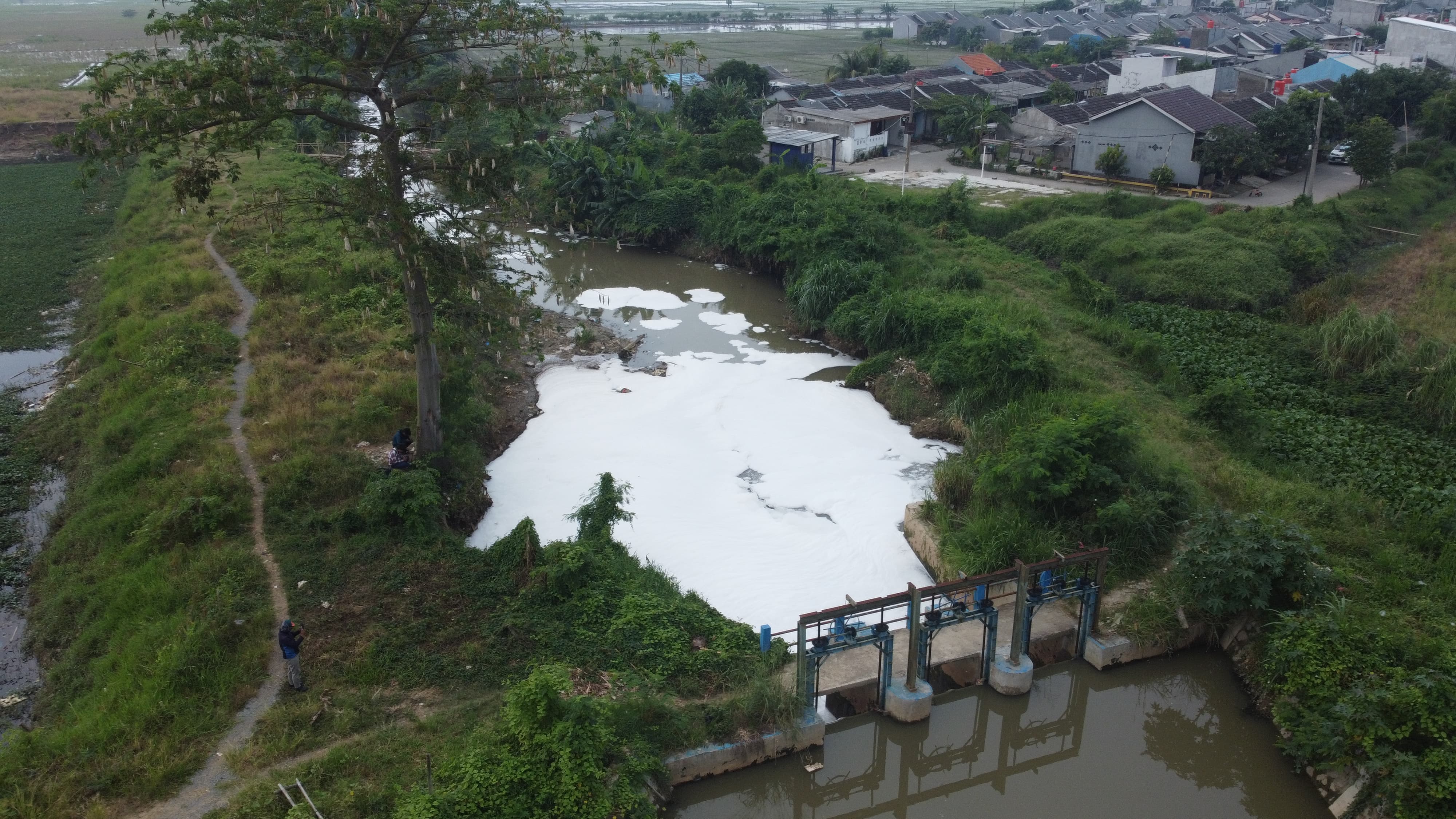 Jababeka Berulah Lagi, Kali Berbusa dan Berwarna Cokelat Pekat Bikin Perum GCC Marah