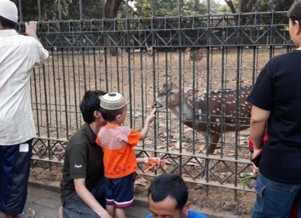 5 Rekomendasi Tempat Bermain Anak di Bekasi yang Gratis