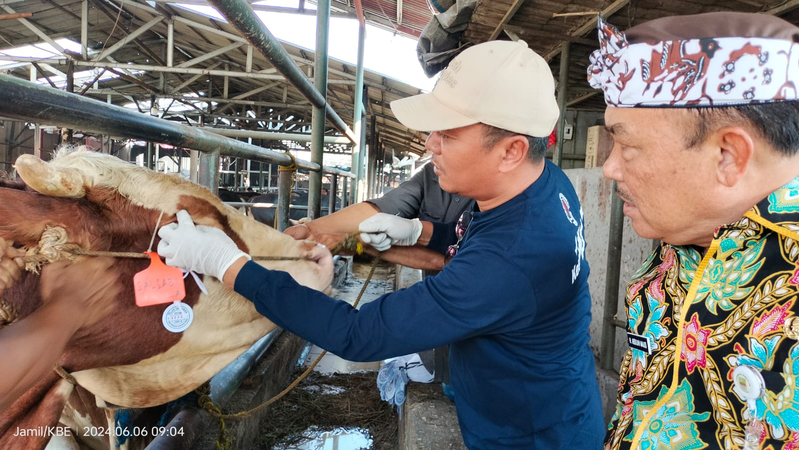 Pastikan Aman dari Penyakit, Dinas Pertanian Lakukan Pemeriksaan Kesehatan dan Kelayakan Hewan Kurban