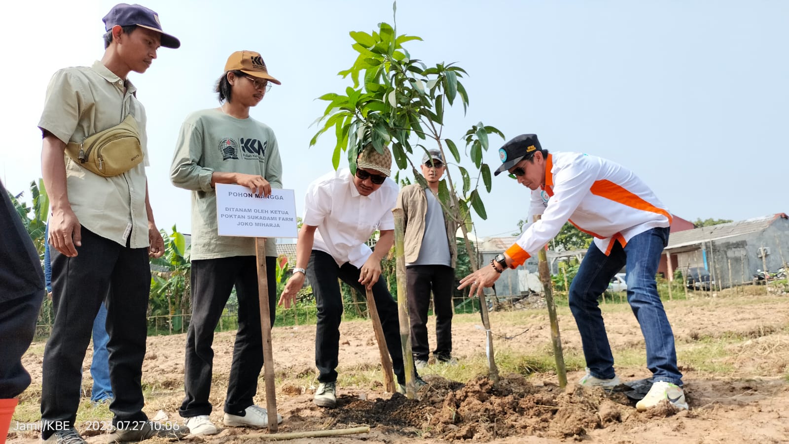 Poktan Sukadami Farm Tanam Ratusan Pohon Mangga