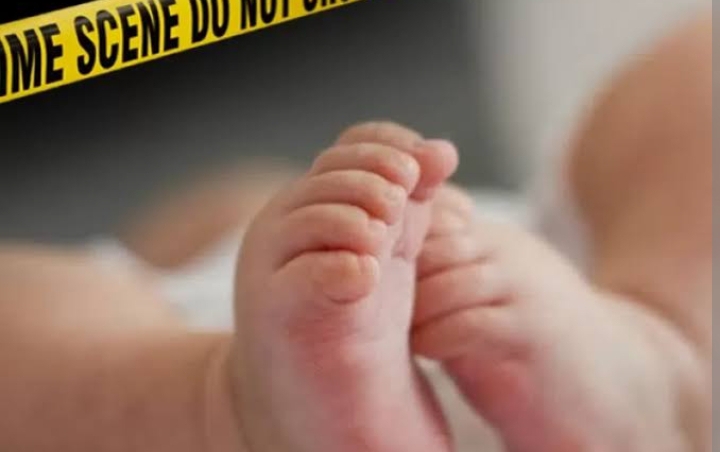 Kasus Pembuangan Dua Bayi di Desa Sabahbalau, Polisi Periksa Enam Saksi