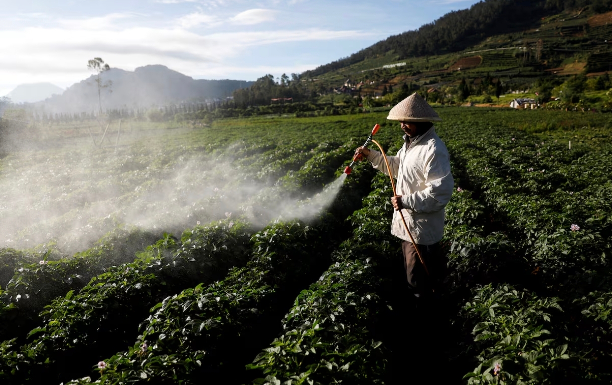 Indonesia Investasi Besar di Sektor Pengolahan Pertanian
