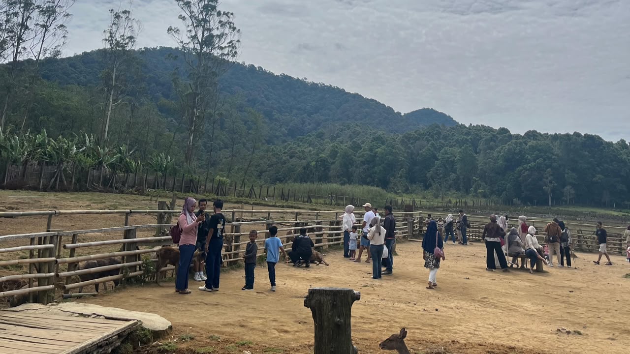 5 Fakta dan Data Lengkap Kenapa Semua Orang Suka Liburan di Bandung