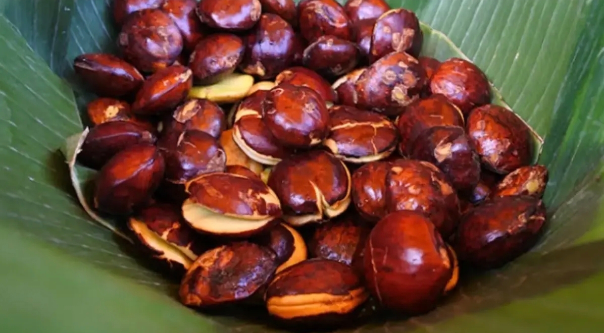 Harga Jengkol di Bekasi Meroket, Nyaris Setara Daging Sapi