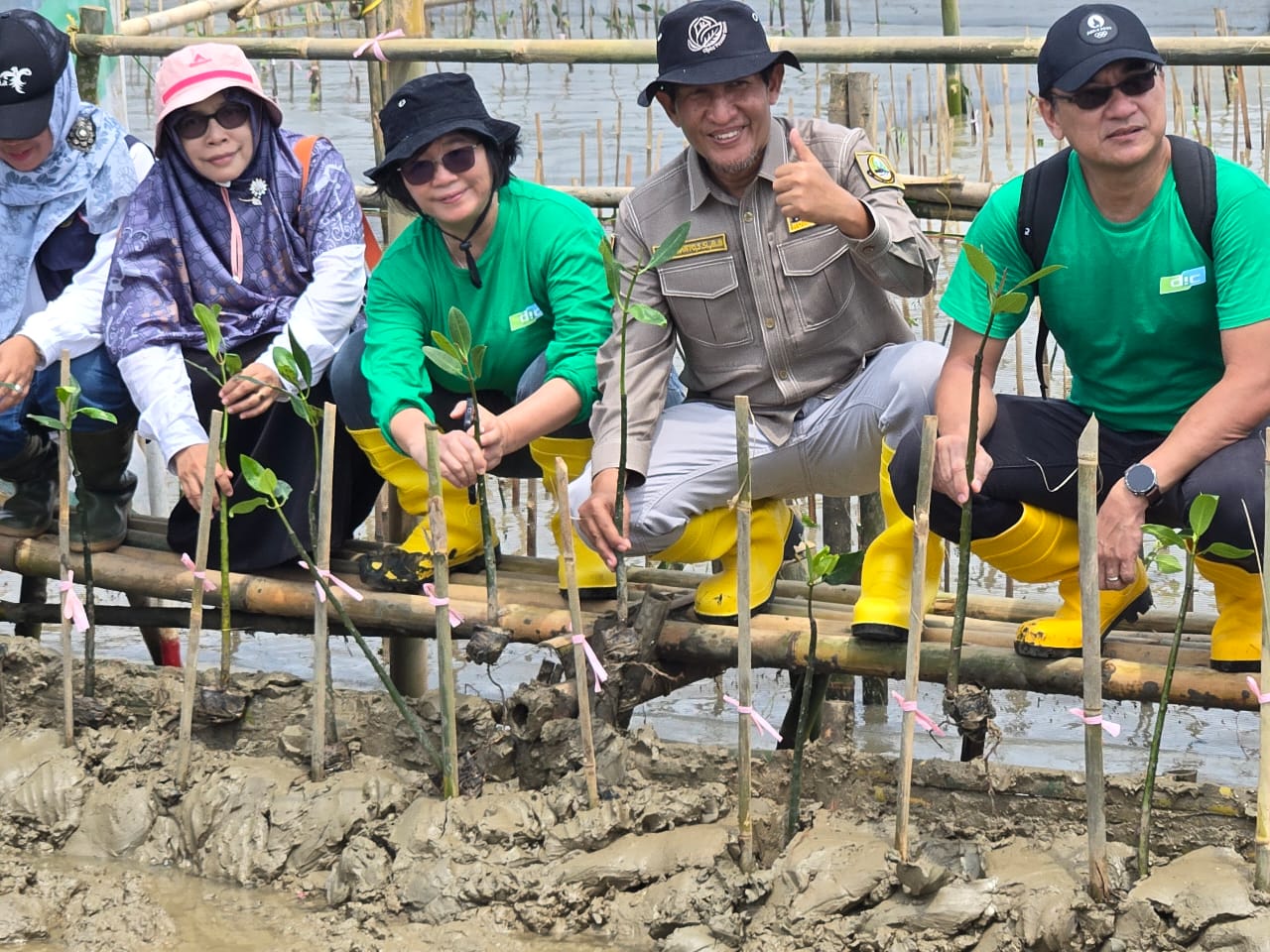 H. Budiwanto Dorong Konservasi Mangrove untuk Selamatkan Pesisir Pantura Jawa Barat