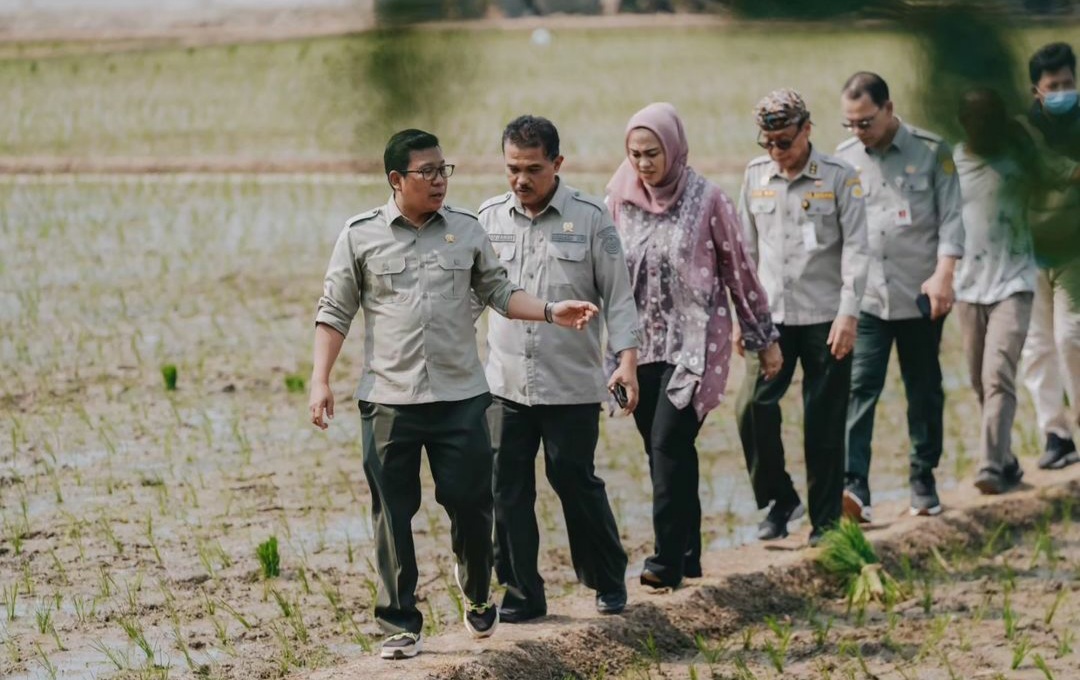 Plt Mentan Arief Sidak Kios Pupuk dan Petani Karawang, Ini Bocoran Temuannya