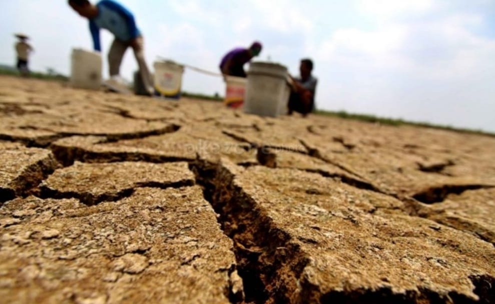 Dampak El Nino, BMKG Prediksi Kemarau di Jabar Berlangsung Lama