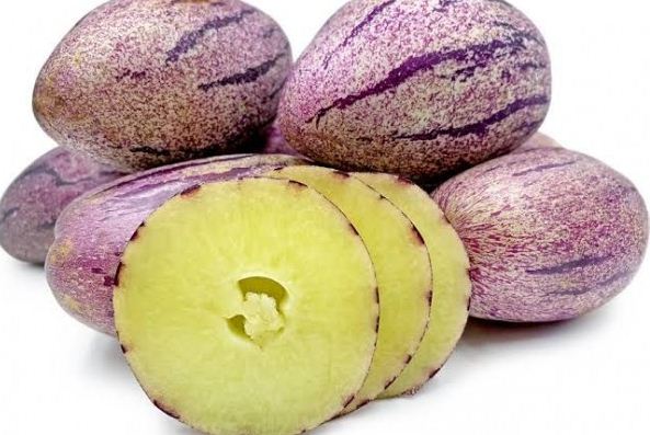 Bantu Menyehatkan Kulit, Ini 10 Khasiat Buah Pepino, Wanita Pasti Suka