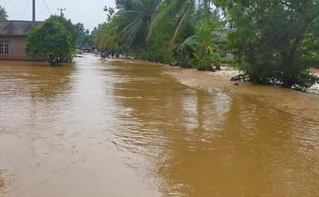 [UPDATE] Banjir Surut, Puluhan Desa di Kabupaten Tanggamus Terdampak