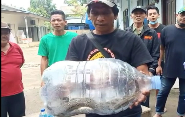 Habitatnya Rusak, Ular Sanca dan Kobra Masuk ke Pemukiman Warga di Margahayu