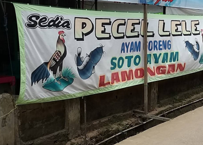 Rekomendasi 14 Pecel Lele di Jatimulya Tambun Selatan yang Bikin Orang Rela Makan Tengah Malam, Sambalnya Oke!