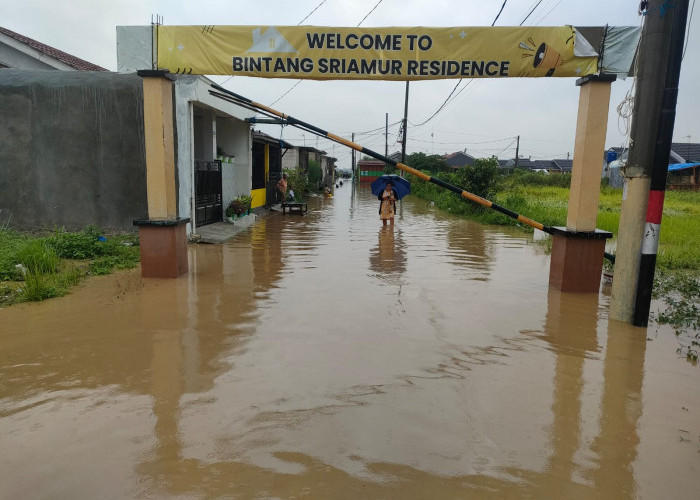 Diguyur Hujan Semalaman, Ribuan Rumah Terendam Banjir di Utara Bekasi
