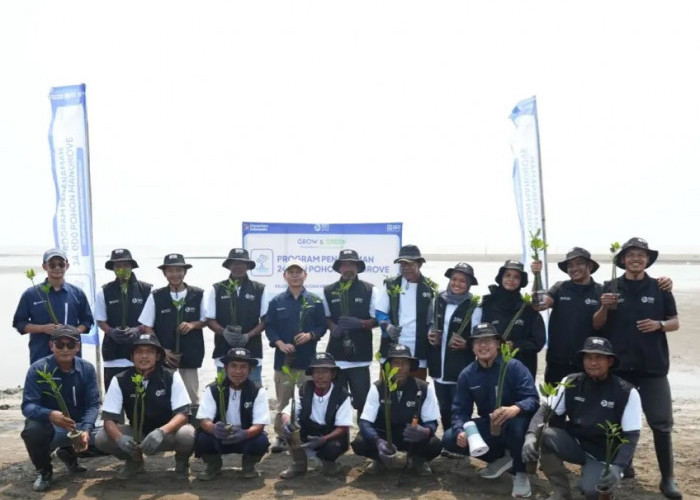 Aksi Nyata BRI Peduli Tanam 99.500 Magrove dari Karawang hingga Bekasi