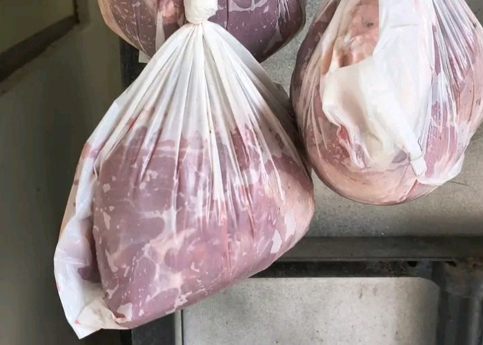 Terjawab Sudah! Ini Alasan Ilmiah Daging Kurban Sering Terasa Lebih Alot Dibanding Daging Pasar