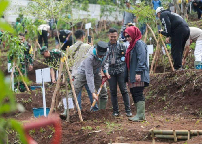 Pemprov Jabar Percepat Penghijauan Hulu Bandung, 12 Ribu Pohon Ditanam untuk Cegah Banjir
