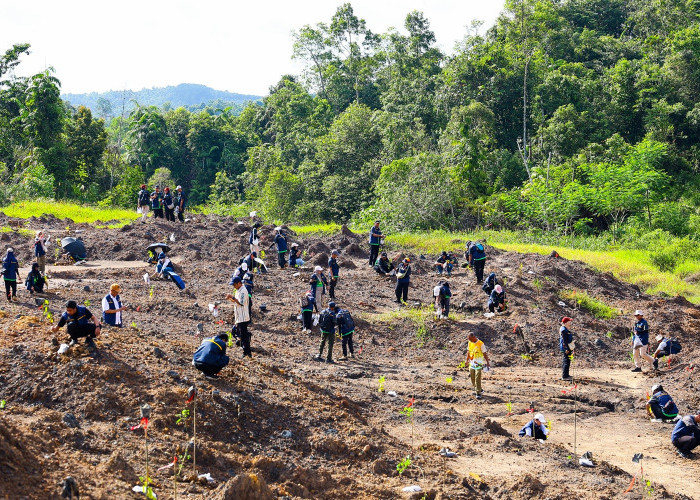 IKN Bangun Kota Hutan, 5 Juta Pohon Ditanam untuk Pulihkan Alam