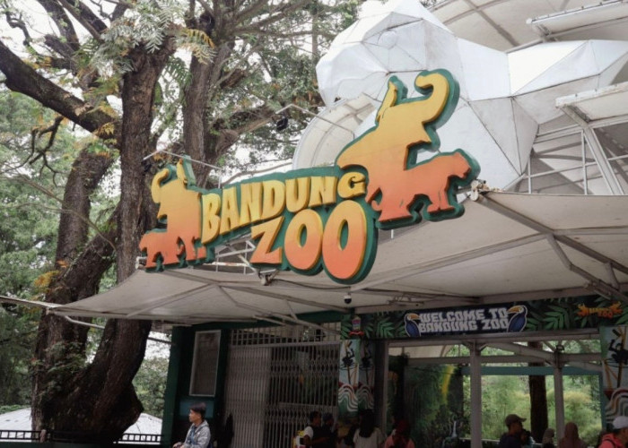 Gubernur Serahkan Masalah Bandung Zoo ke Pemkot Bandung
