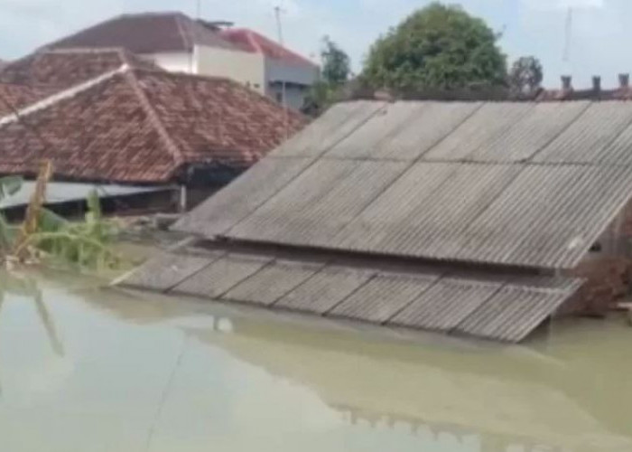 Sebanyak 89 Desa di 11 Kecamatan Kabupaten Demak Terendam Banjir, 93.149 Jiwa Terdampak