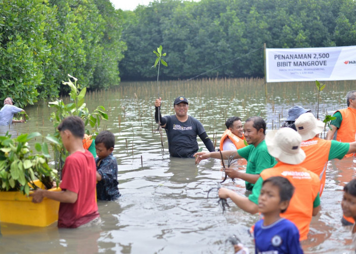 Warga Pesisir Muara Gembong Tanam 2.500 Mangrove Hadapi Perubahan Iklim dan Abrasi