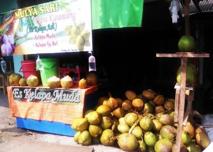 Daftar 11 Tempat Beli Es Kelapa Muda di Jatimulya Tambun Selatan yang Segar, Murah, dan Selalu Ramai Pembeli! 