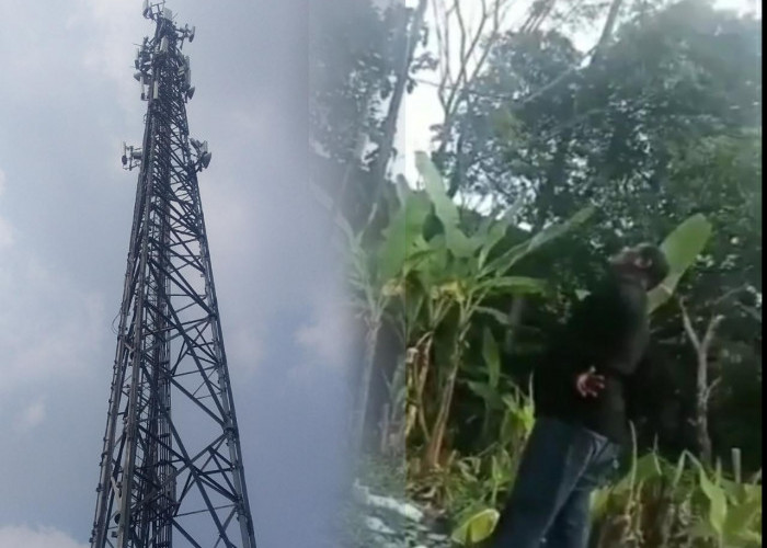 Berulah Lagi, Oknum Ormas 'Palak' Pekerja Tower Telekomunikasi di Bekasi
