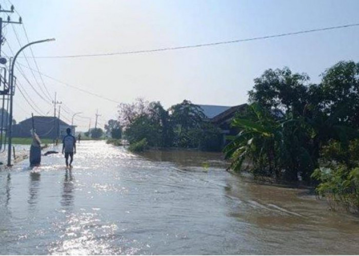 Kali Lamong Kembali Meluap, Sejumlah Jalan Raya di Kabupaten Gresik Terendam Banjir