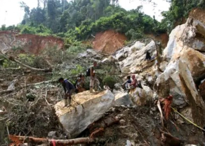 Longsor Tambang Emas Ilegal di Solok: 15 Meninggal Dunia Puluhan Lainnya Masih Tertimbun