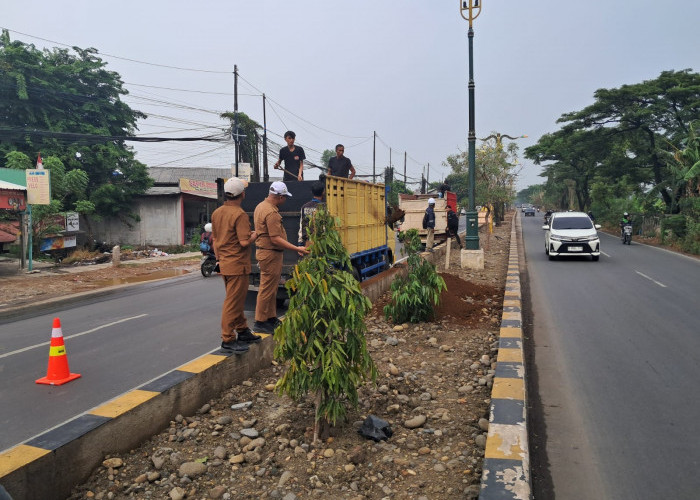 Disperkimtan Kabupaten Bekasi Bangun Taman Median Jalan Inspeksi Kalimalang Sepanjang 3,4 KM