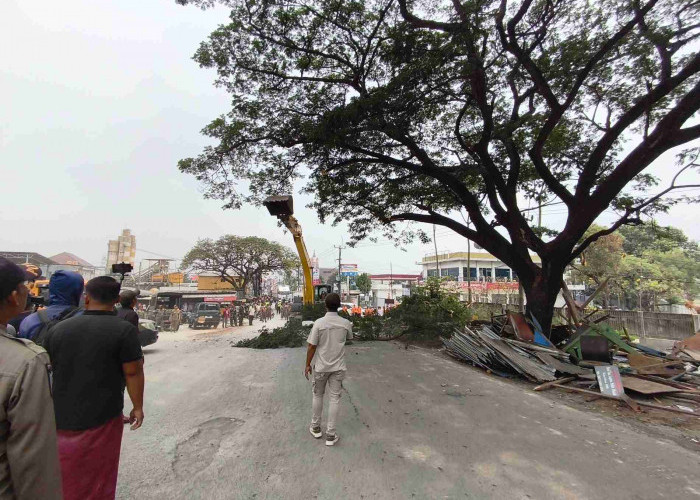 19 Bangli di Jarakosta Cikarang Barat Ditertibkan, Pohon Trembesi Ikut Dibongkar
