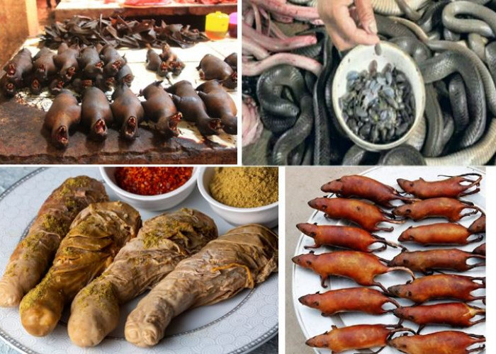 6 Makanan Ekstrem dari Indonesia, Apa Anda Berani Coba?