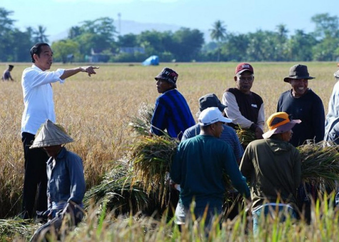 Krisis Regenerasi di Sektor Pertanian Indonesia