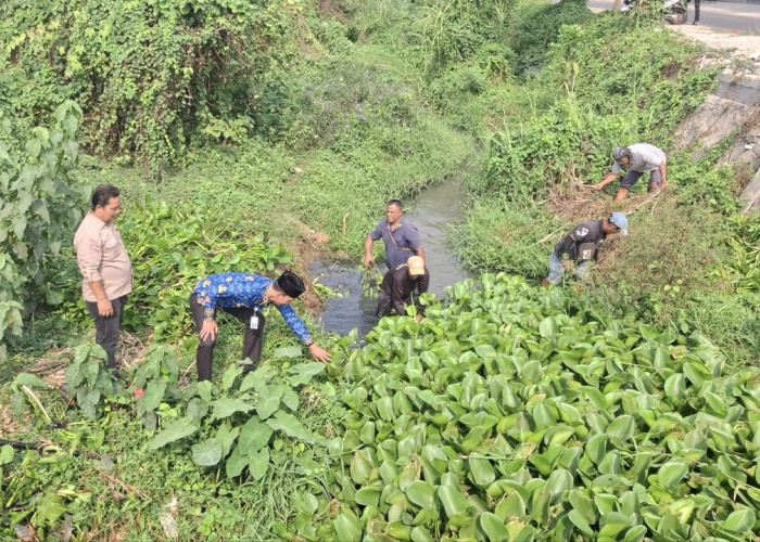 Cegah Banjir di Musim Hujan, Pemdes Sukadami Realisasikan Program PKTD Pembersihan Kali Cikadu