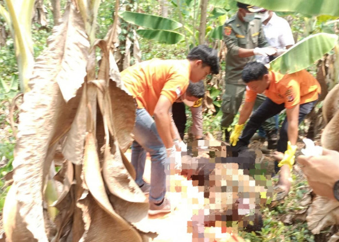 Pegawai Honorer RSUD Karawang Ditemukan Tewas di Kebun Pisang, Diduga Jadi Korban Dukun Penggandaan Uang