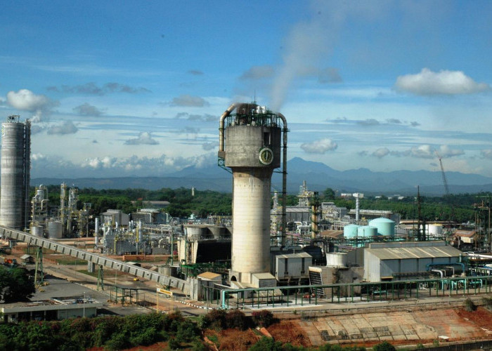 Pupuk Kujang Gandeng PLN EPI dan CISRI Kembangkan Green Hydrogen dari Biomassa