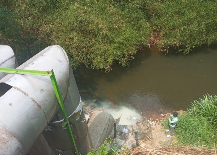 DLH Panggil Manajemen Pabrik Bakso di Jatirangga, Terkait Dugaan Pencemaran Kali Cikeas