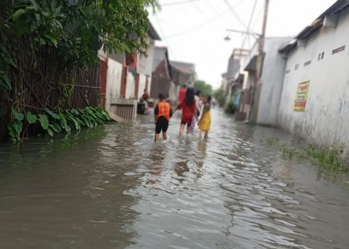 Drainase Tidak Terawat, Genangan Air Kerap Muncul Saat Hujan di Bekasi
