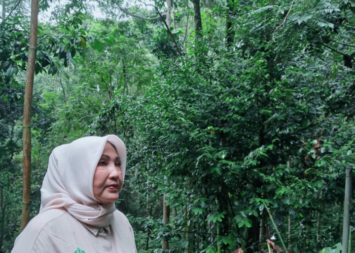Warga Bogor Tanam Kembali Hutan di Tengah Penyusutan Lahan