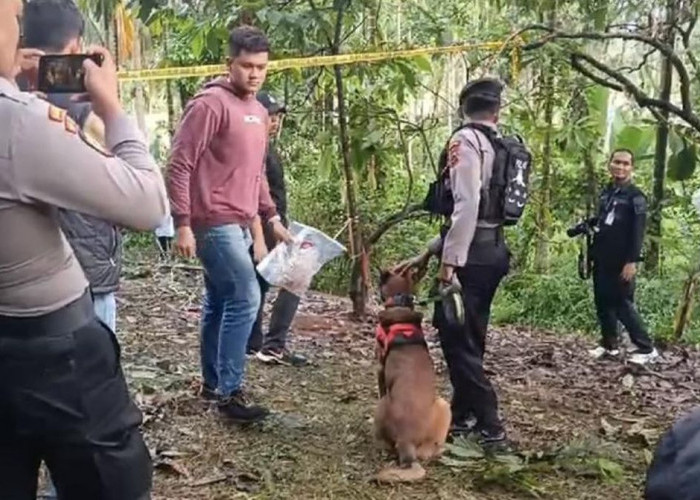 Inilah 5 Fakta Menarik di balik Kasus Pembunuhan Gadis Penjual Gorengan di Padang Pariaman